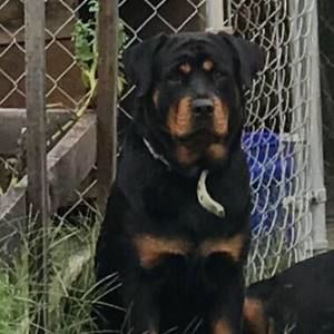 Meet your Posher, Vera